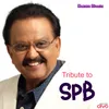 About SPB Tribute Song