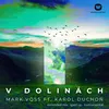 V dolinách (feat. Karol Duchoň) [Instrumental]