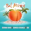 About Pal Muro Song