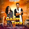 About Gaam Tera Song