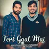About Teri Gaal Mai Song