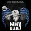 About Why Ulele (feat. Pushkin RSA, ilovelethu, Philharmonic, Jadenfunky) Song