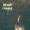 About Never Change Song