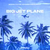 About Big Jet Plane Song