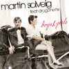 Boys & Girls (feat. Dragonette) [Laidback Luke Remix]