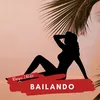 About Bailando (Club Edit) Song