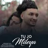 About Tu Jo Mileya Song