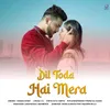 About Dil Toda Hai Mera Song