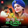 About Bhulya Re Bhulya Mari Preet Song