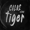 About Caloi Virou Tiger Song
