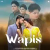 About Wapis  (feat. Gauahar Khan & Zaid Darbar) Song