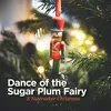 The Nutcracker, Op. 71: Miniature Overture