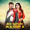 About New Haryanvi Mashup 6 Song