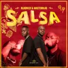 About Salsa Song