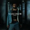 About Nascosto Song