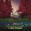 I Like Chopin (Extended Mix)