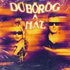 About Dübörög a ház (2023 Version - Extended Mix) Song