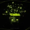 About Tauba Song