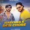 About Haryana K Desi Chore Song