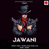 About Jawani Song