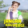 About Jangan Kau Pergi Song