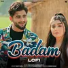 About Badam (Lofi) Song