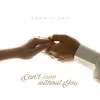About Can't Love Without You Song