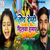 About Tod Demhi Dilwa Hamar Song