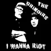 About I Wanna Riot Song
