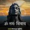 About Om Namah Shivay Song