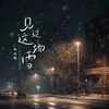 About 見過這場雪(就當見過面) Song