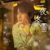 About 一夜冬雪 Song