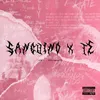 About Sanguino x te (feat. xDiemondx) Song