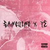 Sanguino x te (feat. xDiemondx)