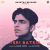 About Teri Batein Song