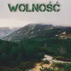 About Wolność Song