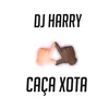 CAÇA XOTA