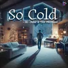 About So Cold Song