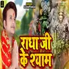 About Radha Ji Ke Shyam Song