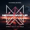 About Never Give Up (feat. NAJA) Song