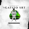About El Gatito SRT Song