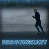 About Drogowskazy Song