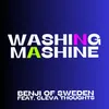 About Washing Mashine (feat. Cleva Thoughts) Song