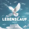 About Lebenslauf Song