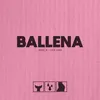 About Ballena Song