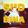 About Sudbina Song