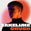 About Zakelijke Crush Song