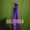 About Calze viola Song