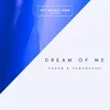 About Dream of Me Song