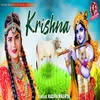 About Krishna Song